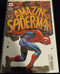 The Amazing Spider-Man