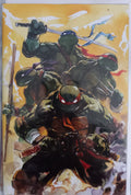 Teenage Mutant Ninja Turtles