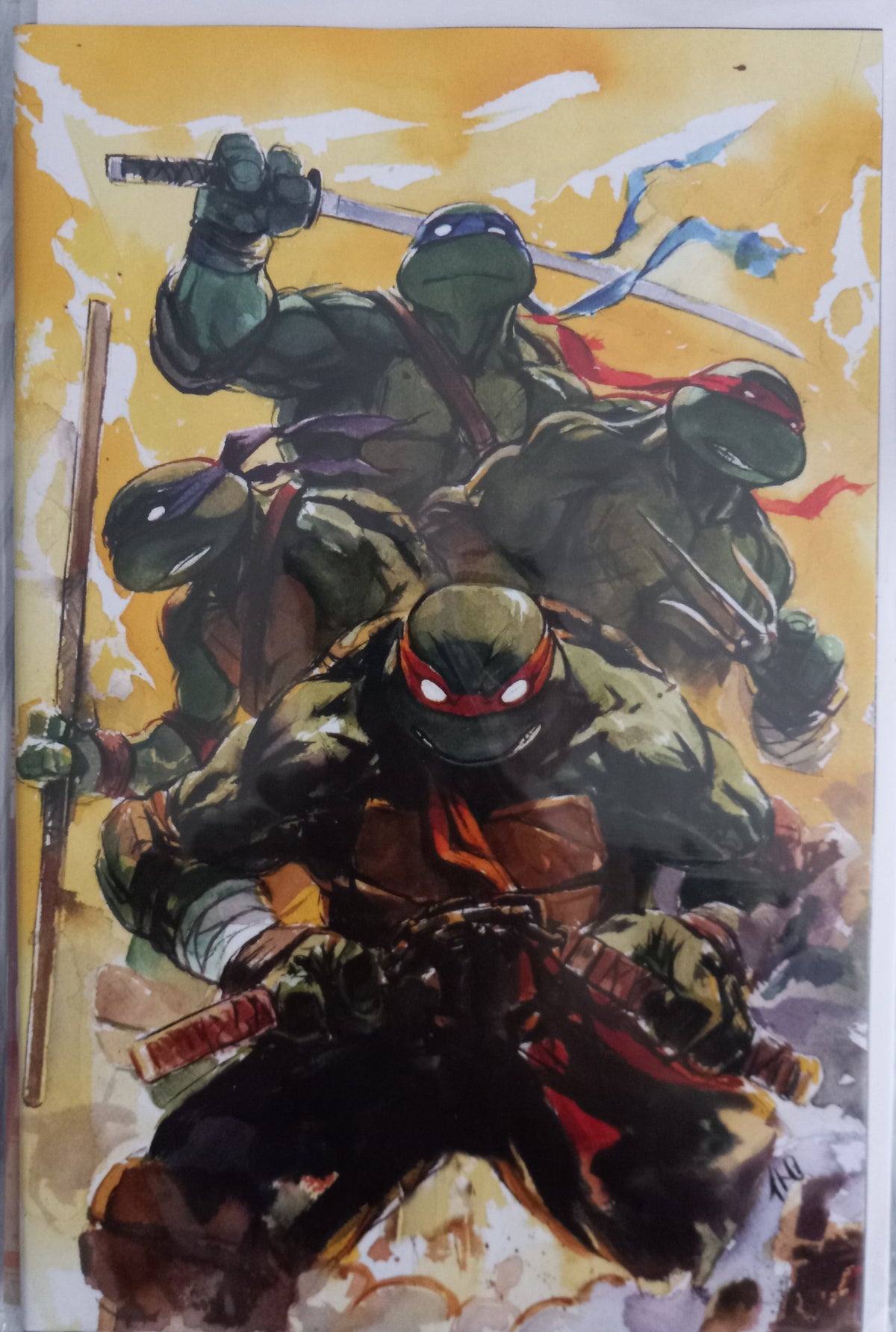 Teenage Mutant Ninja Turtles
