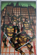 Teenage Mutant Ninja Turtles
