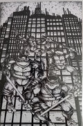 Teenage Mutant Ninja Turtles